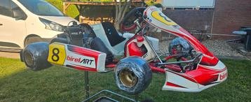 Birel Art met rotax max senior  beschikbaar voor biedingen