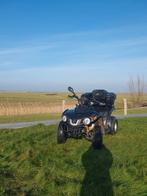 Quadlander 300cc goede staat!, 1 cilinder, 12 t/m 35 kW