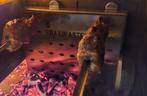 Braaimaster Asado spiezenhouder, Ophalen of Verzenden, Nieuw