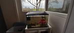 Aquarium met vissen en accessoires, Ophalen of Verzenden, Zo goed als nieuw, Gevuld zoetwateraquarium