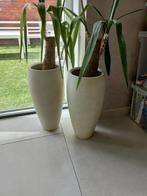2x Bloempot, Ophalen, Gebruikt, Rond, Binnen