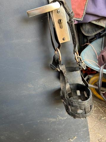Graasmasker maat Shetlander beschikbaar voor biedingen