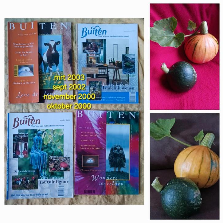 4x tijdschrift Buiten magazine 2x 2000, 1x 2002, 1x 2003, Verzamelen, Tijdschriften, Kranten en Knipsels, Tijdschrift, Nederland