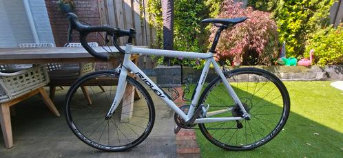 Ridley wielrenfiets, Fietsen en Brommers, Fietsen | Heren | Sportfietsen en Toerfietsen, Gebruikt, Overige merken, Meer dan 20 versnellingen