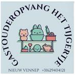 Gastouder nieuw vennep, Gastouders