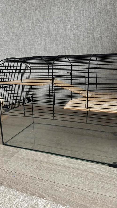 Hamsterkooi, Dieren en Toebehoren, Knaagdieren en Konijnen | Hokken en Kooien, Zo goed als nieuw, Kooi, 60 tot 90 cm, 75 tot 110 cm