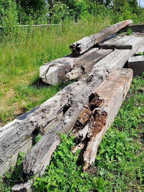 Houten meerpalen / brandhout, Tuin en Terras, Palen, Balken en Planken, Gebruikt, Palen, 250 cm of meer, Hardhout, Ophalen