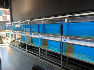 Aquariumstelling 9 meter breed compleet beschikbaar voor biedingen