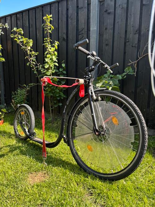 Kickbike sport g4 incl dogadapter, Fietsen en Brommers, Steps, Gebruikt, Kickbike, Ophalen of Verzenden