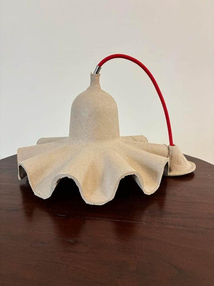 Seletti Egg of Columbus Lamp - Eierdoos Design, Huis en Inrichting, Lampen | Hanglampen, Zo goed als nieuw, Minder dan 50 cm, Kunststof