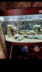 Aquarium Juwel Vision 450, Huis en Inrichting, Ophalen, Gebruikt, 100 tot 150 cm, Bruin
