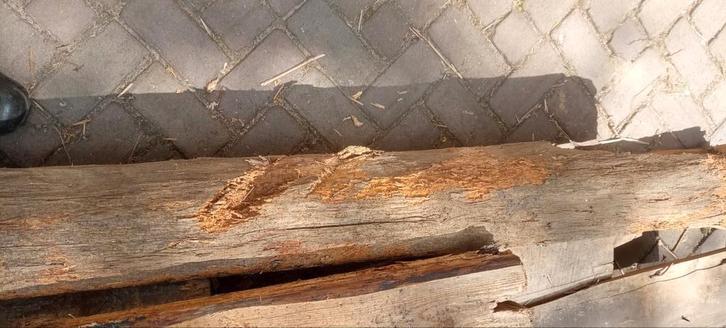 Eiken balk, 385 cm lang  , globaal 20 x 20, Doe-het-zelf en Verbouw, Hout en Planken, Gebruikt, Balk, Eiken, 300 cm of meer, 50 mm of meer