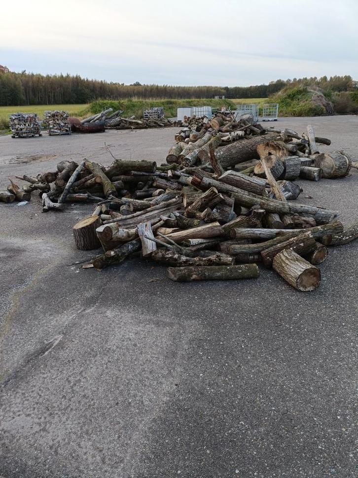 Stamhout/blokken te koop!, Tuin en Terras, Haardhout, Stammen, Overige houtsoorten, 6 m³ of meer, Ophalen