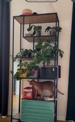 Bookcase / Shelves for Sale – Excellent Condition, Huis en Inrichting, Ophalen, Zo goed als nieuw