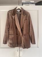 * nieuw * Ambika velours blazer XL, Ambika, Ophalen of Verzenden, Nieuw, Jasje
