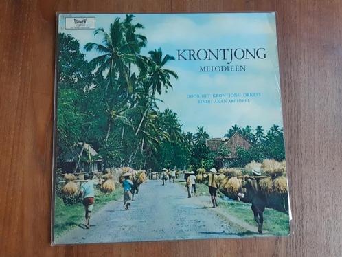 LP Krontjong melodieën - Rindu Akan Archipel, Cd's en Dvd's, Vinyl | Wereldmuziek, Gebruikt, 12 inch, Ophalen of Verzenden