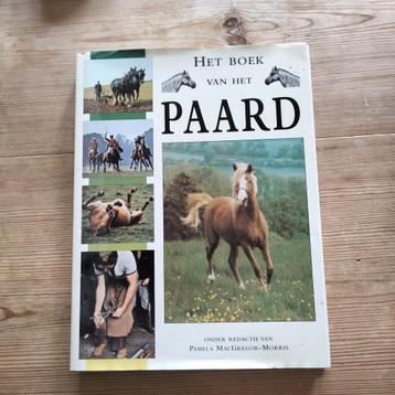 Het boek van het paard beschikbaar voor biedingen