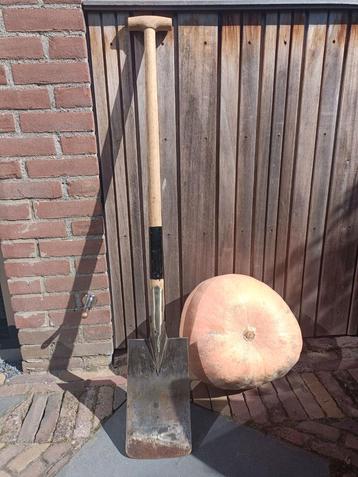 Sneeboer plagspade. beschikbaar voor biedingen