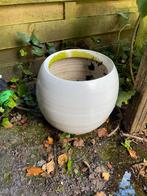 Mooie witte tuinpot of Vaas, Gebruikt, Rond, Binnen, Minder dan 40 cm