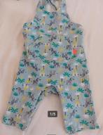 Hema Groen Tuinbroekje Pakje Overall Jumpsuit Boxpakje mt 74, Jongetje of Meisje, Ophalen of Verzenden, Zo goed als nieuw, Hema