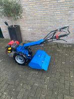 Sep tuinfrees te koop., Ophalen of Verzenden, Gebruikt, Overige soorten