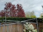 Frame partytent, Tuin en Terras, Opvouwbaar, Partytent, Minder dan 4 meter, Minder dan 5 meter