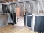 Stalling /pension /stalling aan het bos, Dieren en Toebehoren, Stalling en Weidegang, Stalling