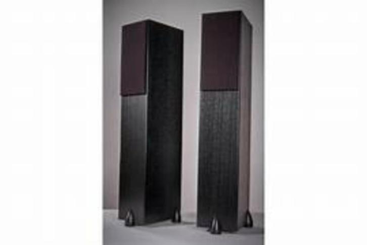 Luidspreker set TOTEM SKY Tower, Audio, Tv en Foto, Luidsprekers, Zo goed als nieuw, Front, Rear of Stereo speakers, Minder dan 60 watt