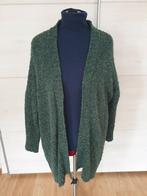 Didi oversized vest, groen melange, xl, Ophalen of Verzenden, Gedragen, Maat 46/48 (XL) of groter, Groen