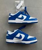 Nieuwe Nike Dunk Low Kentucky Blue - 37.5, Nieuw, Nike, Blauw, Ophalen of Verzenden