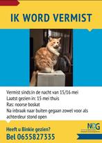Binkie vermist, Dieren en Toebehoren, Kat
