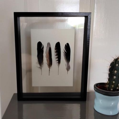 fotolijst - decoratieve lijst verenafbeelding (te verwissele, Huis en Inrichting, Woonaccessoires | Overige, Gebruikt, Ophalen of Verzenden