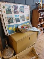 Grote vintage schoolplaten platen, Ophalen of Verzenden, Overige thema's