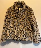 Sissy Boy fluffy jasje gevoerd M, Verzenden, Zo goed als nieuw, Maat 38/40 (M)