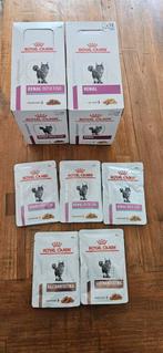 Te koop: Royal Canin Veterinary katvoer Nier/Renal dieet, Dieren en Toebehoren, Ophalen of Verzenden, Kat