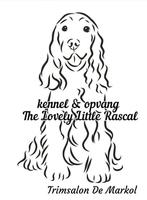 Liefdevolle huiselijke opvang kleine & middelgrote honden, Dieren en Toebehoren, Ophalen of Verzenden