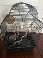 Vogelkooi met alle toebehoren, Dieren en Toebehoren, Ophalen, Gebruikt, Metaal, Vogelkooi