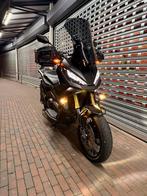 Honda X-ADV 750 (A2) - Volledig Akrapovic systeem, Motoren, Onderdelen | Honda, Ophalen of Verzenden, Gebruikt