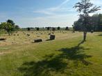 Hooi pakjes, Stalling, 2 of 3 paarden of pony's