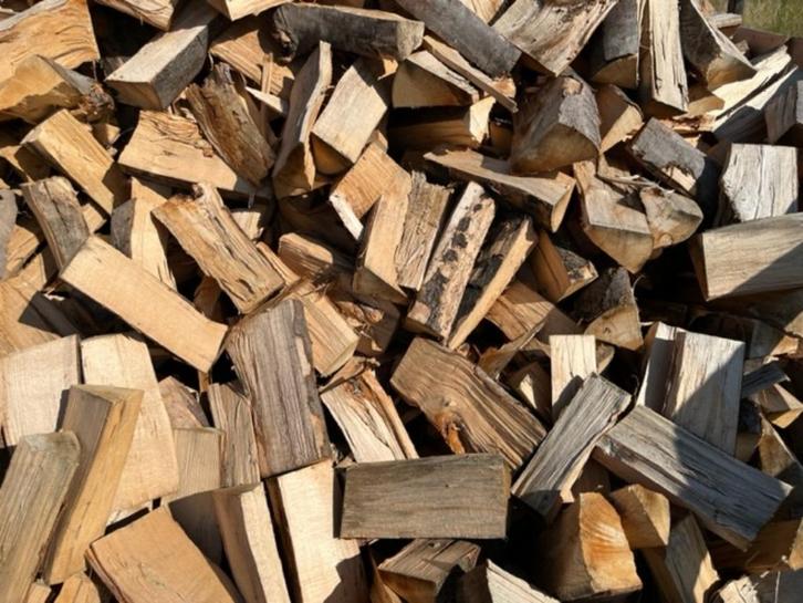 BEUKEN VERS Haardhout Kachelhout Brandhout Stookhout, Tuin en Terras, Haardhout, Blokken, Beukenhout, Minder dan 3 m³, Ophalen