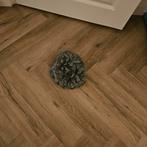 Pruik (grijs/kort), Ophalen of Verzenden, Zo goed als nieuw, Overige maten