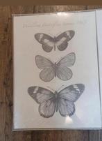 Vlinder canvas in verpakking 2x, Huis en Inrichting, Ophalen of Verzenden