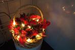 Rieten verlichte kerstmand, Ophalen, Zo goed als nieuw