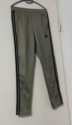 Adidas trainingsbroek - maat S (nieuw), Ophalen of Verzenden, Nieuw, Adidas