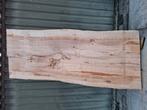 Boomstam blad beuken!, Ophalen, Nieuw, Beuken, Minder dan 200 cm