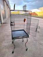 ZGAN!!Parkietenkooi Dwerg Papegaaien Kooi Strong, Dieren en Toebehoren, Vogels | Hokken en Kooien, Ophalen, Zo goed als nieuw