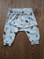 Nieuwe zachte broek lichtgrijs met beren maat 56 H&M, Kinderen en Baby's, Babykleding | Maat 56, Broekje, H&M, Nieuw, Ophalen of Verzenden