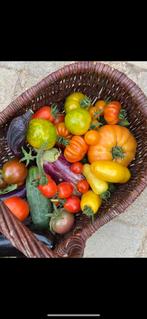 Moestuin zaden: groenten, bonen, tomaten etc, Tuin en Terras, Bloembollen en Zaden, Ophalen of Verzenden, Zaad