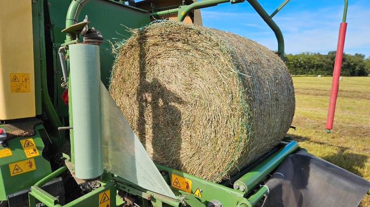 Te koop: mooie grote ronde balen hooi, Dieren en Toebehoren, Dierenvoeding, Vee, Ophalen