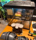 Aquarium 25L met veel accessoires, Dieren en Toebehoren, Ophalen, Zo goed als nieuw, Leeg aquarium